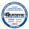 www.gommesicurezza.it